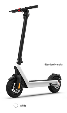 Monopattino elettrico TY-X9 48V 550W