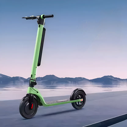 Monopattino elettrico TY-X8 da 350W