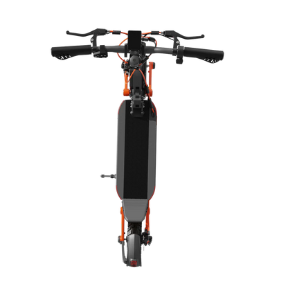 JOYOR S10-S-Z 1000W Dual Motor 85KM Range