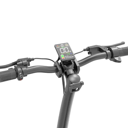 JOYOR C10-E Scooter ABE Legal in Germany with removable battery