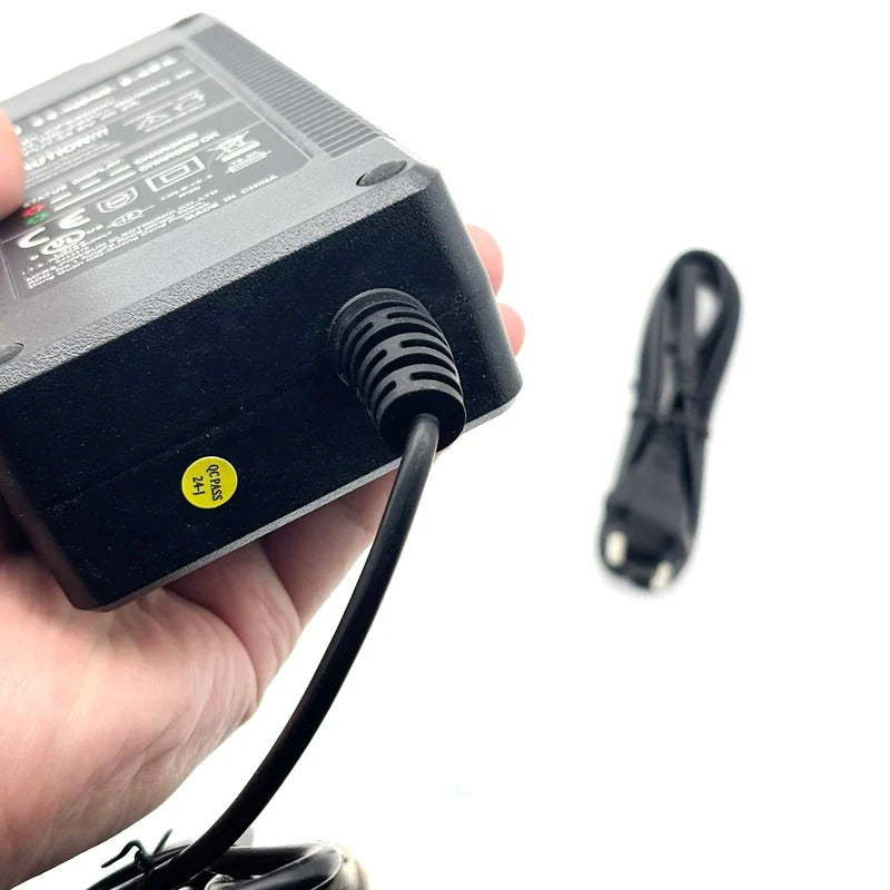 48V 2A European charger