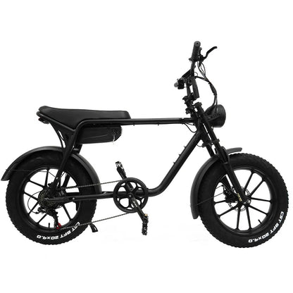 TODIMART K20 750W 48V E-Bike MTB pieghevole da 20 pollici