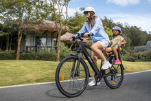 Bici elettrica da città DYU C5 da 27,5 pollici