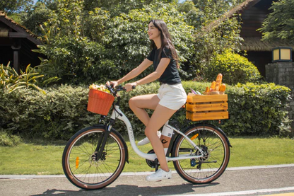 Bicicleta eléctrica urbana DYU C6 Pro de 26 pulgadas