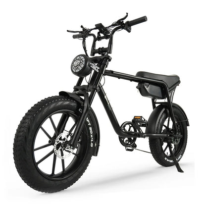 TODIMART K20 750W 48V E-Bike MTB pieghevole da 20 pollici