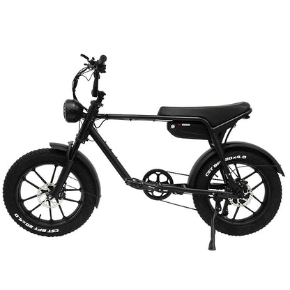 TODIMART K20 750W 48V E-Bike MTB pieghevole da 20 pollici